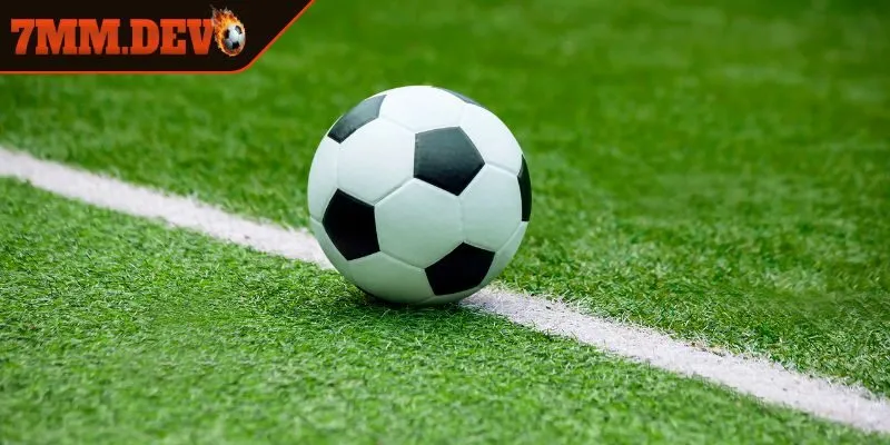 Tổng quan về sức hấp dẫn của kèo rung