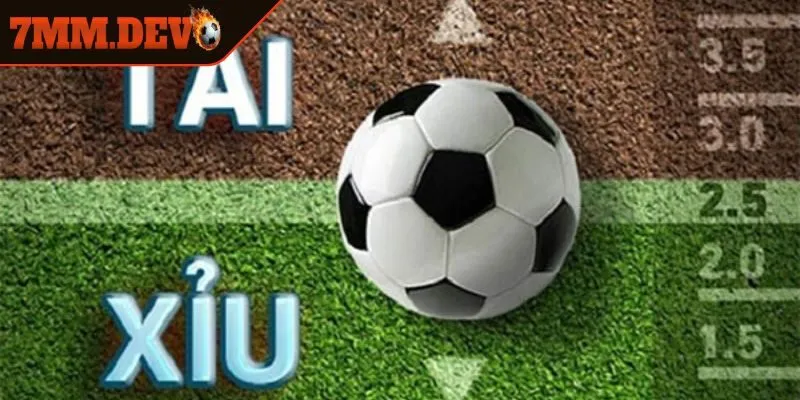 Thuật ngữ cá độ trong kèo tài xỉu