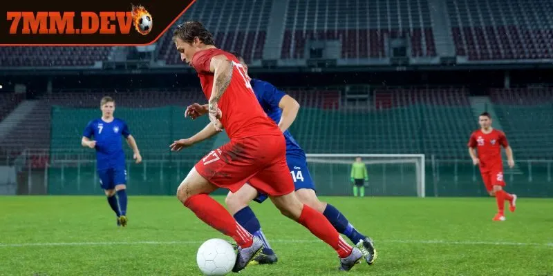 Phân tích chi tiết về tỷ lệ âm và dương